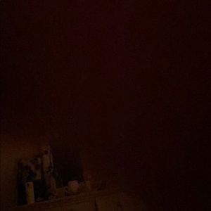 Meet your Posher, Audrey